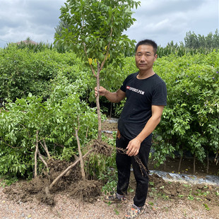 ������籱���Ϸ����Ե����ش�ͥԺ����Y����z�����������t��