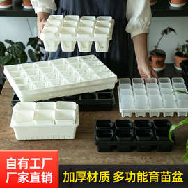 塑料花盆托架托盘多肉加厚小黑方接水盘叶插育苗播种盆底托多肉盆
