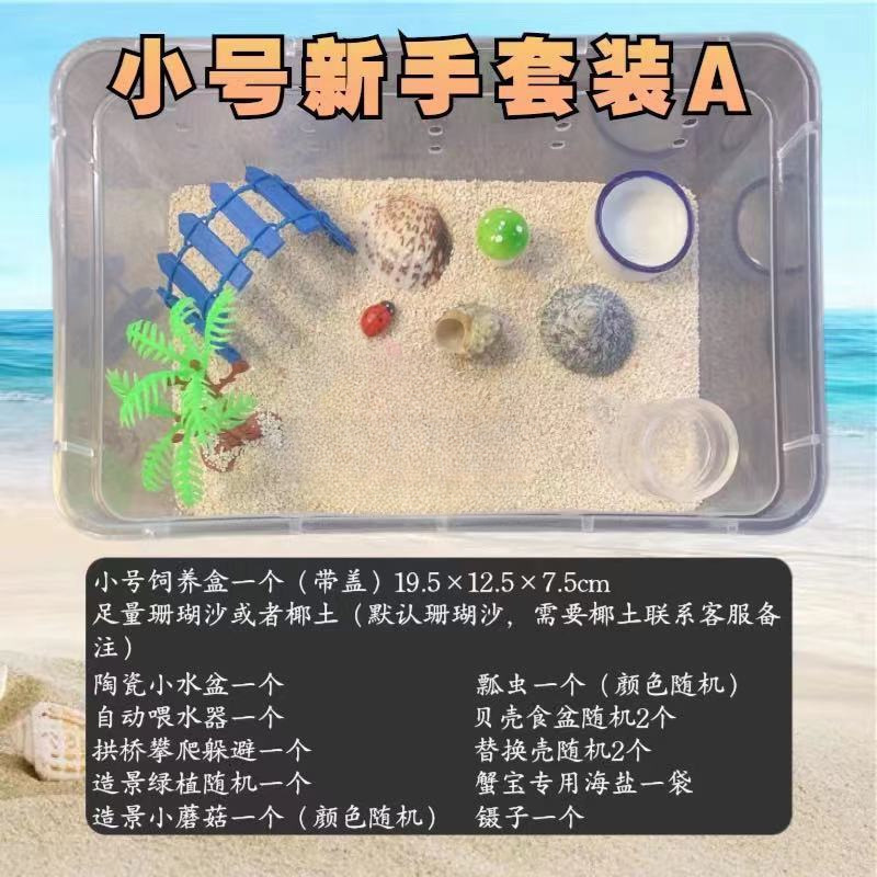 寄居蟹专用饲养爬宠饲养盒昆虫观察盒新手套装饲养缸寄居蟹套餐|undefined