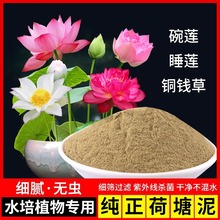 厂家直发 荷塘泥 碗莲睡莲专用淤泥塘泥河泥土荷花水生植物营养土