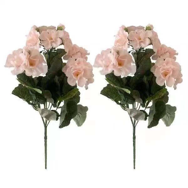 샴페인 [14 인치]