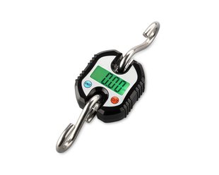 �S�ҹ��� ��ӹ��ص��h�Q ��ӵ���150kg  �F؛��܇��܇���h��