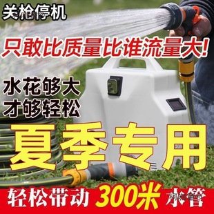 Watering and Vegetable Watering Artifact Watering Machine Lithium Battery Rechargeable Water Pump Agricultural Irrigation Metabo