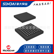 MICROCHIP΢о ZL30142GGG2 ר��ʱ��/��ʱͬ���� CABGA-64 ԭװ
