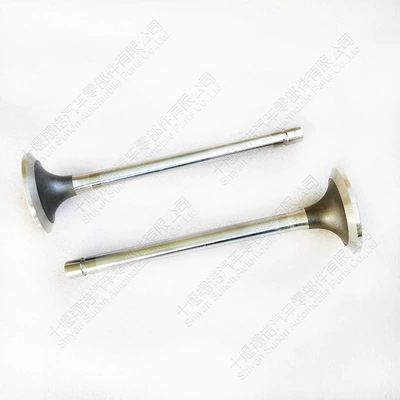 Valves and components 3803529 3088391 3035110