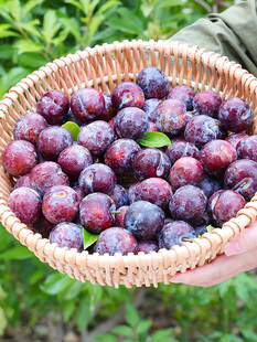 �Ĵ��봨��tÓ�������P�����´����rˮ��������߅�t����