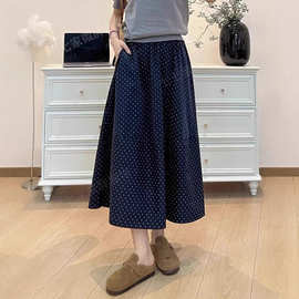 2025夏季新款韩版显瘦百搭设计感十足赫本风波点半身裙