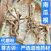 中药材 南瓜根 南瓜的根 番倭瓜 北瓜窝瓜根 支持药检 代磨粉