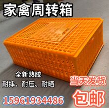 家禽周转箱塑料鸡笼鸡鸭鹅周转筐鸡用运输笼鸡筐成鸡箱鸽子笼兔笼