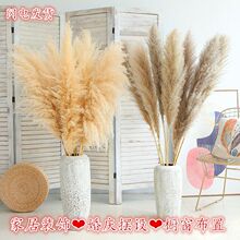 �¿���Ȼ�JȔ�ɻ��������b��䁔[�O��ؔ[��ins�͏d�b����ձ���