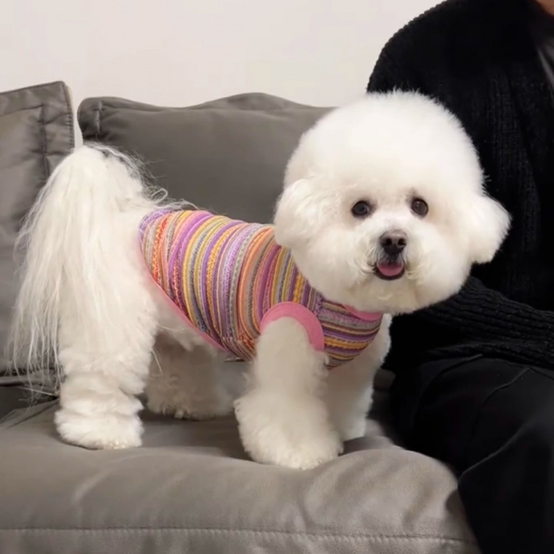Perros para mascotas Ropa de verano Cachorro pequeño Teddy Bi Bear Pomerania Cat Verano transpirable Chaleco fino hueco
