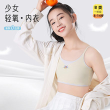 新款美背发育期内衣女一阶段儿童学生打底防凸点固定杯无痕小背心