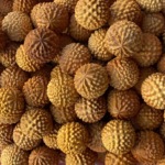 崖柏手把件榴莲球貔貅大象生肖生肖白菜手把件工艺品桌面挂件直播