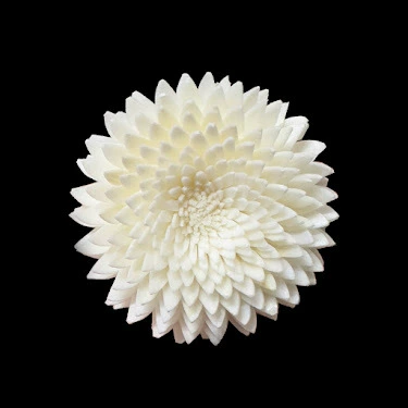 В наличии оптом | 6 см безогненный цветок хризантемы с острыми листьями для ароматерапии можно окрашивать вместо перфорации стержнем из ротангового волокна