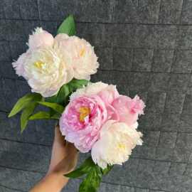 芍药仿真花 3花4苞手札牡丹花 家居装饰新娘手捧花 芙蓉花