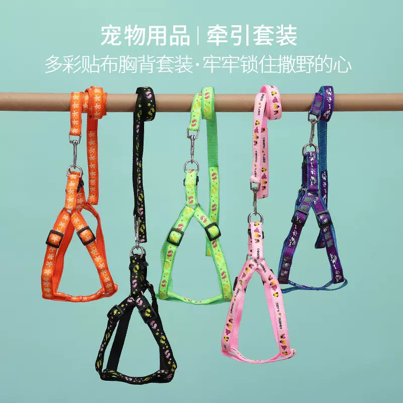 T厂家直销宠物贴布牵引绳 狗狗胸背带套装狗绳狗链 宠物用品批发
