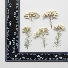 С�׻��ɻ�ɳ���WУ�ֹ�diy���ω������zdiy�滨�~�˱�ֲ����Ѻ��