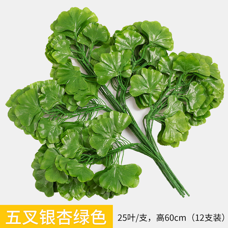 Pentas ginkgo leaf green
