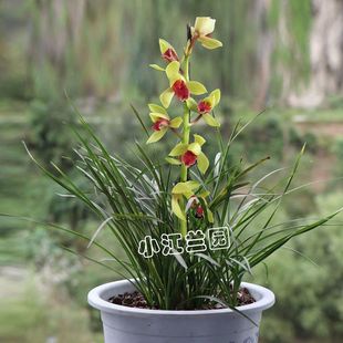 ޥ�m �t���m�������ԝ����ʹ��҃��̨�������FƷ�N�辰