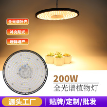 ȫ���VLEDֲ���a��� �羳��Ʒ�Nֲ�߲˜��Ҵ���ֲ�����L��S��