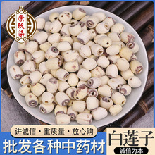 ���l��ɏ�� ɢ�bȥоĥƤ��ɏ��ɏ���ĺ������T��ɏ�� ����r��