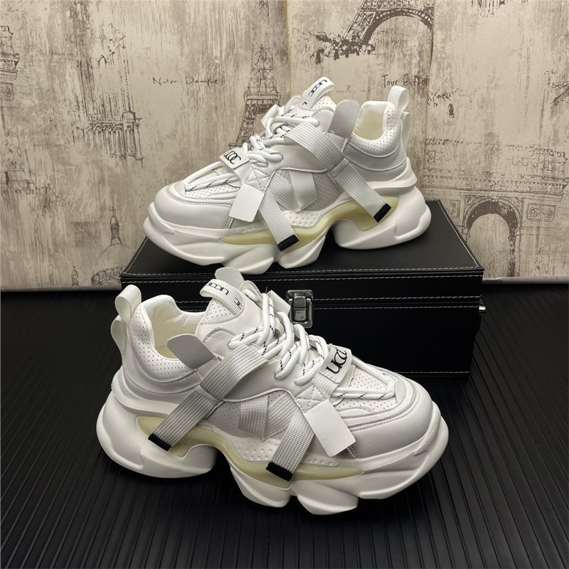 흰색 표준 모델