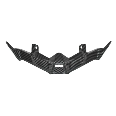 headlight guard bird's beak | Motorcycle Fender - carbon-beak-ii
