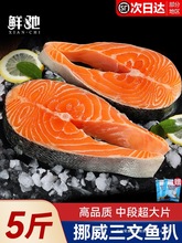 �����~�����rŲ�������~һ���l݆���жα��r������r�F���~���q�~