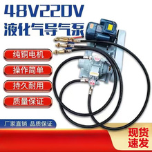 液化气导气泵充气泵220伏48v倒气泵12伏车载小型气泵丙烷高压泵