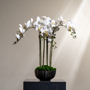 ˇؐ�Ӹߙn��������m���҃ȿ͏dǰ̨�[���b[�O�ٻ�ˇ�����p��