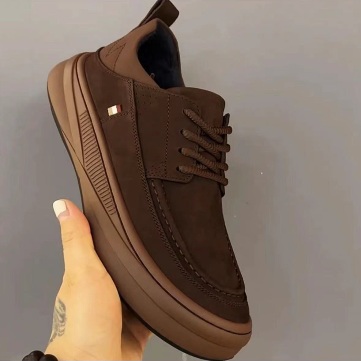 3119 프로스티드 브라운