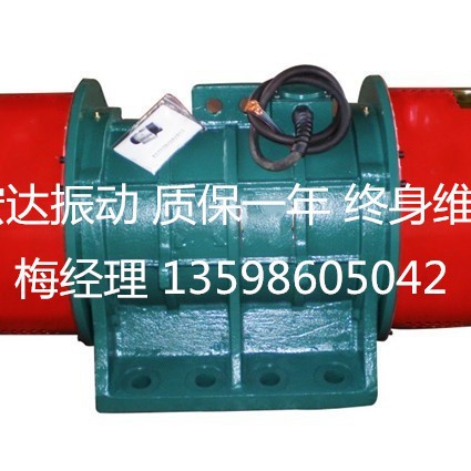 ZW-150-6振动电机380V50HZ 13KW6极振打电机 工业震动器振动马达