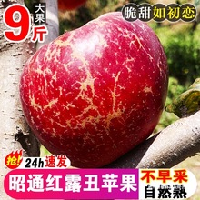 �����ͨ�г��O���t¶ˮ�����r���䮔��10�︻ʿ�����O���Bͨ���]