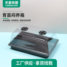 �������粥�NǤ�������䱣������͸�Ᵽ���^�����B��С���w��