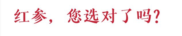 Premium Sugar-Free Red Ginseng Whole Roots and Slices Hong Shen Changbai Mountain 12 Year 500g Bulk Pack in use