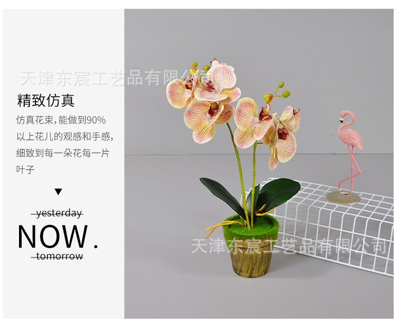 详情_06.png