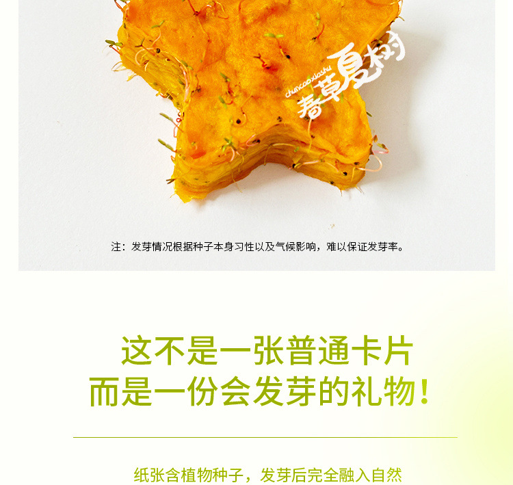 97ea246f-78a4-4ff7-bc7e-88095539773c.jpe