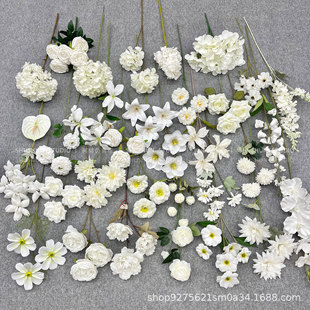 ��ɫϵĪ�λ��@���滨��Y�û��Ļ�c�廨��Yɭϵ��ˇ·���b�