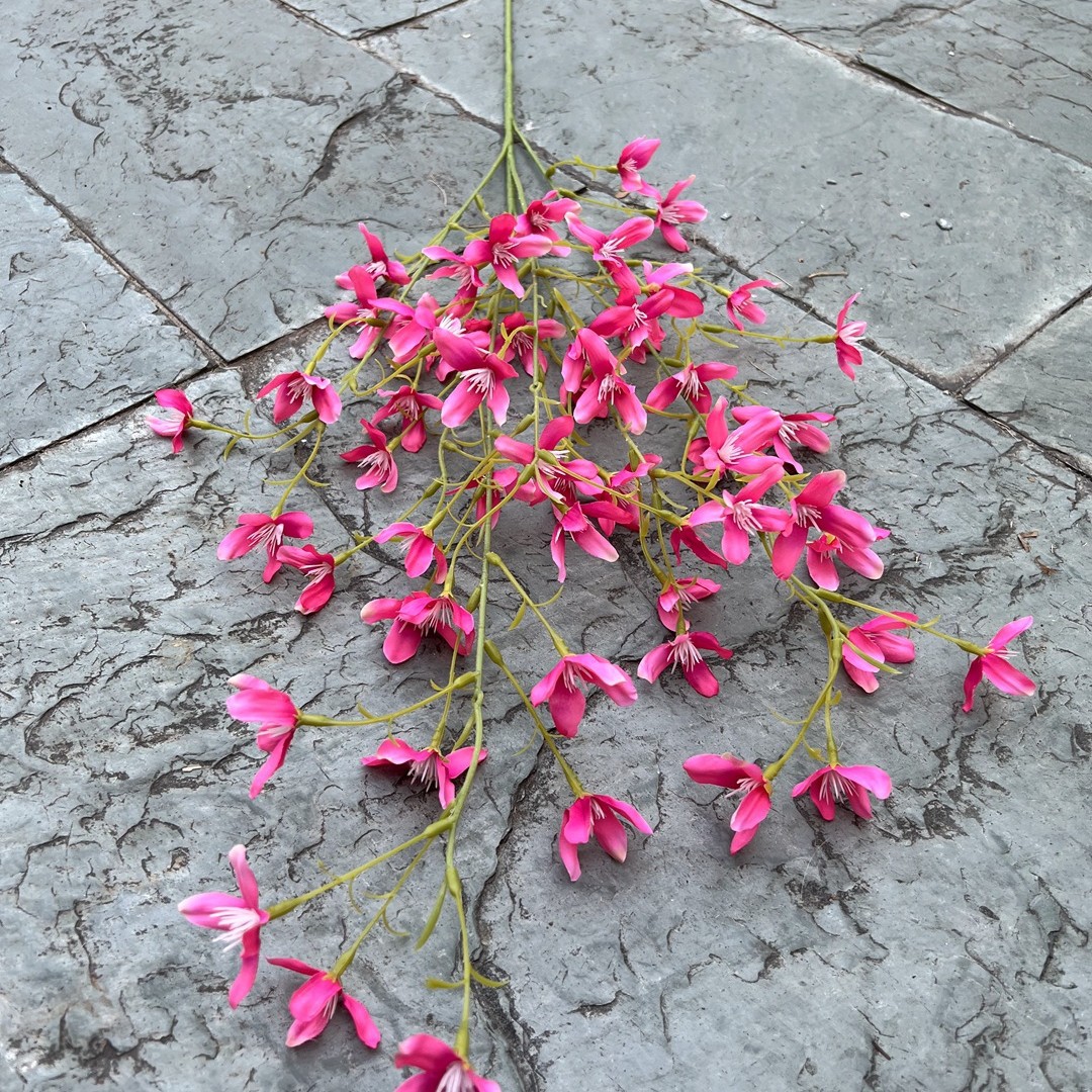 Febrero Azul Rosa Rojo