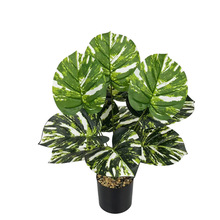 �羳��Ʒ����Gֲ���c�����~���R�d�Ҿӿ͏d�k�����@�����Y�b�