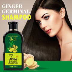 跨境姜王洗髮水控油去屑蓬鬆生薑薑汁洗髮露批發Ginger Shampoo