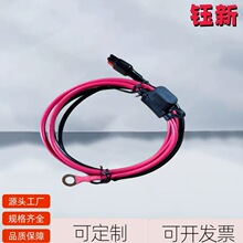 ��������ɭO�Ͷ���10AWG0.6��anderson��̖���U����܇���b����