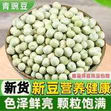 青豌豆粒干货500g豌豆粉发豆芽苗专用新鲜白青豆煮粥打豆浆麦豆