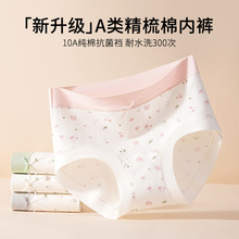 A�����Ůʿ��ѝ����10A�־����Lȫ���d�����黨��Ů����ѝ���l