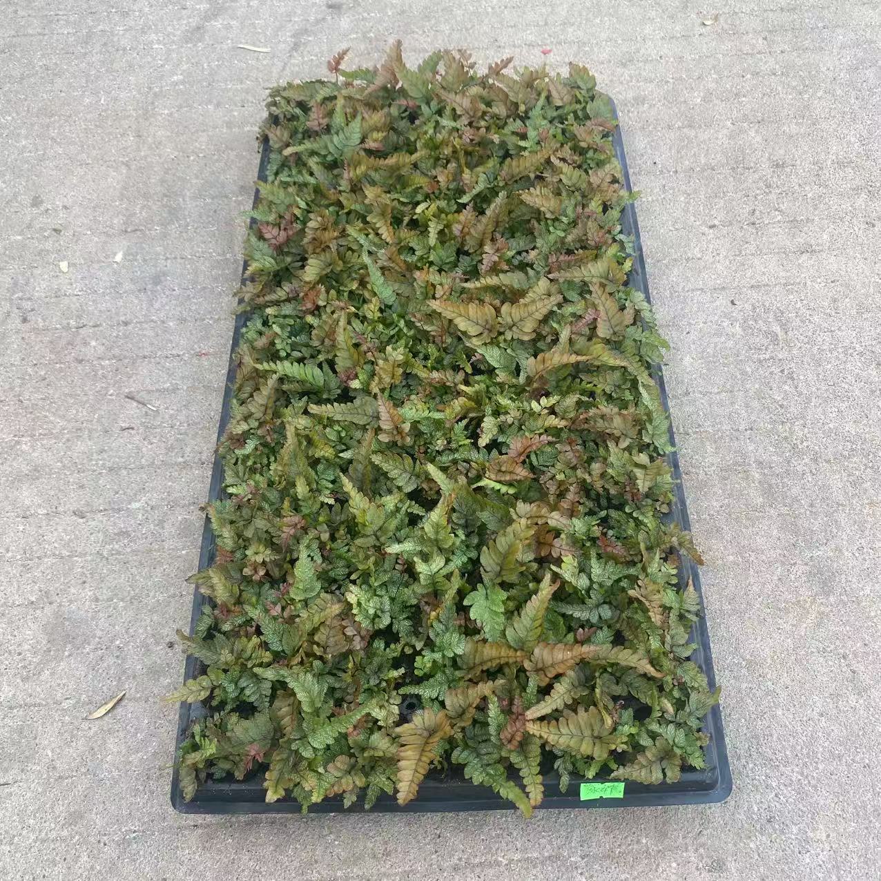 b4571e26d3b6187c6dbed3ef5bfa4b