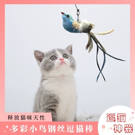 猫猫玩具;宠物周边用品;狗狗清洁