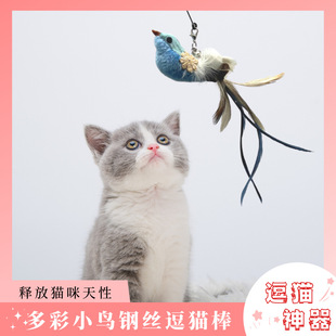 ���w�B��ë��؈����Q�^��؈�U���P���؈������l��ҧ��؈����