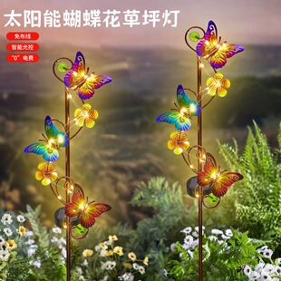 �羳̫��ܵز�ʽ��ƺ�������ˮͥԺ���@���bՇ��������Fˇ��