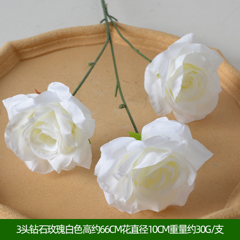 3头钻石玫瑰白色