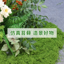 �����쾰̦�\����̦������Ƥ΢���^����ֲ���b������������Gֲ